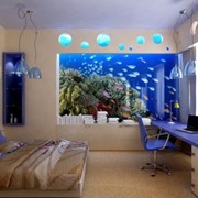 Дизайн интерьеров. фото
