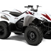 Квадроцикл Yamaha Wolverine 450 фото