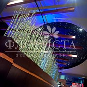 Озеленение ресторанов фото