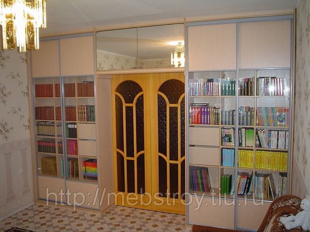 Шкаф-купе для книг со стеклянными дверями встроенный на зака.