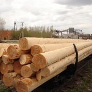 Деревянные опоры линий электропередач фото