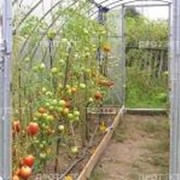 Армированная пленка фото