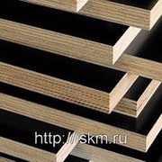 Фанера ламинированная FF с.1 гладкая, 30х1500х3000 мм фото