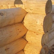 Строительство срубов фото