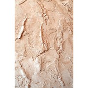 Услуги по нанесению фактурной штукатурки фото