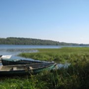 Земельные участки для жилья: продажа фото