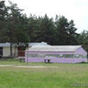 Бизнес консалтинг фото