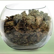 Жмых рапсовый фото