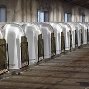 Комплект для содержания телят “Телячьи нежности“ - “Термо-дом с рождения“ фото
