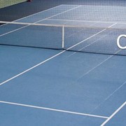 Аренда спортивных площадок фото