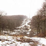 Вырубка под лэп фото