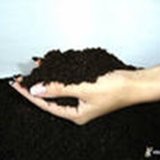 Производство органического удобрения «Биогумус» фото