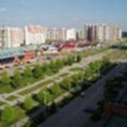 Санитарно-гигиеническое заключение фото
