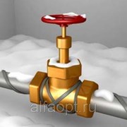 Саморегулирующий кабель HWSRL 10-2CR фото