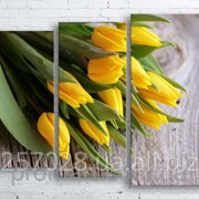 Модульна картина на полотні Жовті тюльпани код КМ100130-137 фото