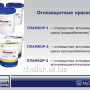 Огнезащитный материал Пламкор-1 по металлу 20кг фото