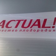 Сотовый поликарбонат Actual фото