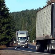 Международные автоперевозки 82м3,20тонн Берлин-Екатеринбург фото