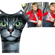 Фест (Кошка) фото