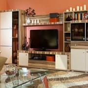 Мебель для гостиной фото