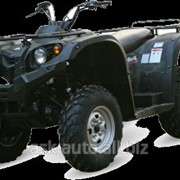 Квадроцикл Wels Atv 500 фото