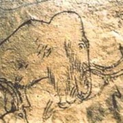 Графический дизайн фото