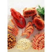 Мидии, креветки, кальмары и прочие морепродукты. фото