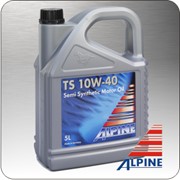 Масло моторное Alpine TS SAE 10W-40 фото