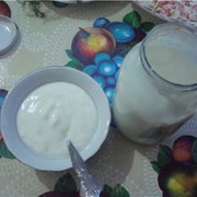 Молочные продукты фото