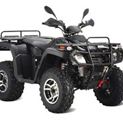 Квадроцикл Stels ATV 300 B фото