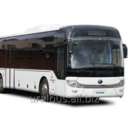 Гайка заднего колеса M22*1,5-10 фото