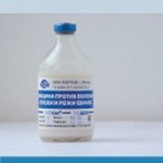 Вакцина эмульсионная, инакт. против ПВИС+ РРСС+ болезни Ауески фото