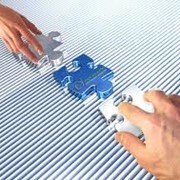 Услуги по организации экспорта фото