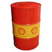 Масло моторное SHELL Rimula R5 E 10W40 209л фото