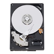 Диск жесткий Western Digital WD20 EARX фото