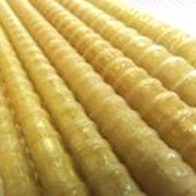 Арматура композитная стеклопластиковая Ø 4-12 мм фото