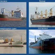 Классификация судов фото