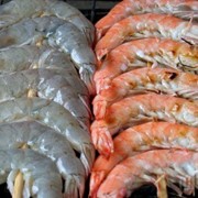 Криветки из Ирана фото