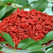 Ягода годжи: 100 кг по цене тонны фото