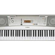 Синтезатор Yamaha PSR-R300 фото