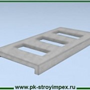 Лоток Л 20.10 фото