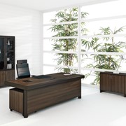 Кабинет руководителя Selecta Walnut фото