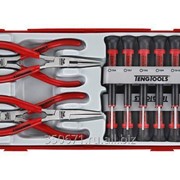 Набор отверток для точной механики и шарнирно-губцевых инструментов Teng Tools TTMI16 фото