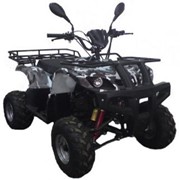 Квадроцикл ABM ATV 150 Apache фото