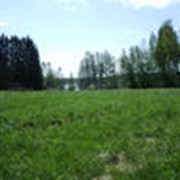 Земельные участки для жилья: продажа фото