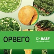 Фунгицид ОРВЕГО ВГ (225 + 300 г/л) фото