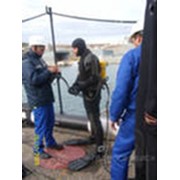 Водолазные работы любой сложности фото
