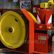 Пресс брикетный PAWERT SPM фото