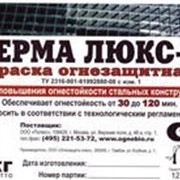 Огнезащитная краска Терма Люкс-Z фото