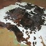 Ковры из шкур крупного рогатого скота фото